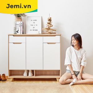Tủ Giày Đẹp, Tủ Giày Nhẹ Nhàng, Mẫu Tủ Giày Mới Nhất TGNN